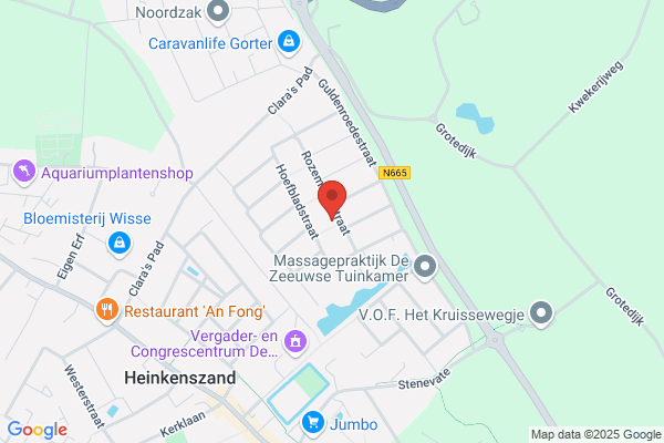Hoogesteger, C