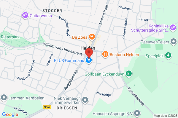 Ing. H.M.M. Naus