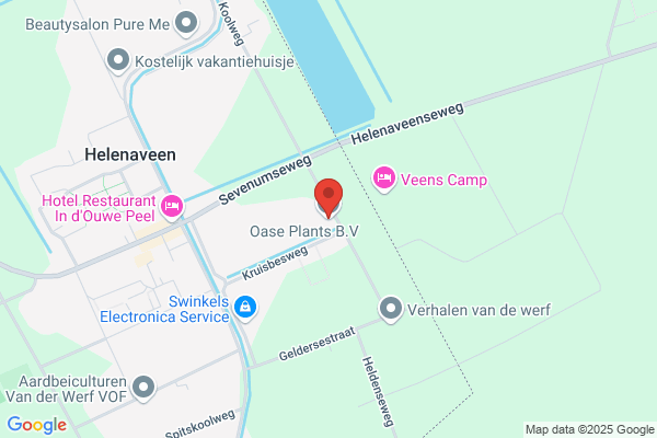 Kwekerij Bloemenlust P. Van Well En Zonen Bv