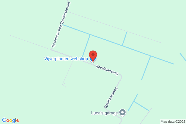Gvn Vijverplanten Bv
