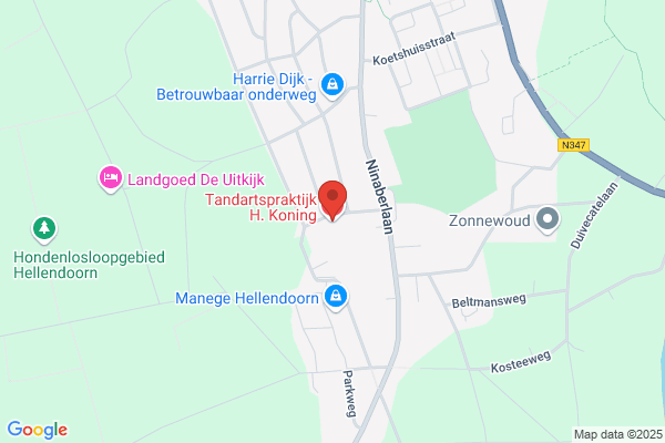 Koning, H