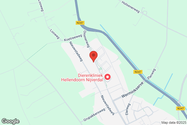 Dijkstra Vof, M T M