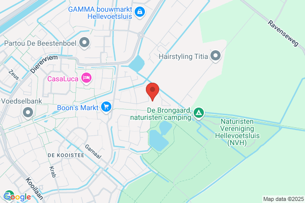 Perro
