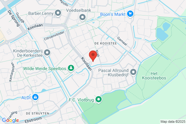 De Kooistee