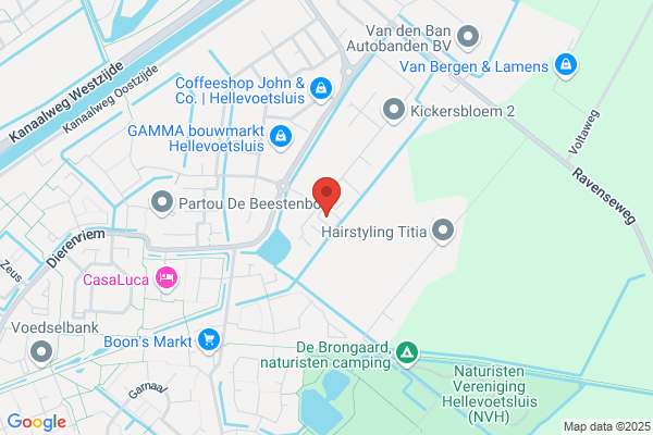 Bravenboer, P