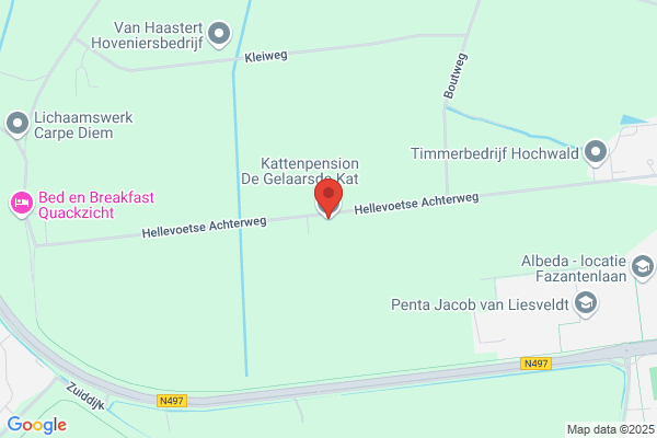 Gelaarsde Kat, De