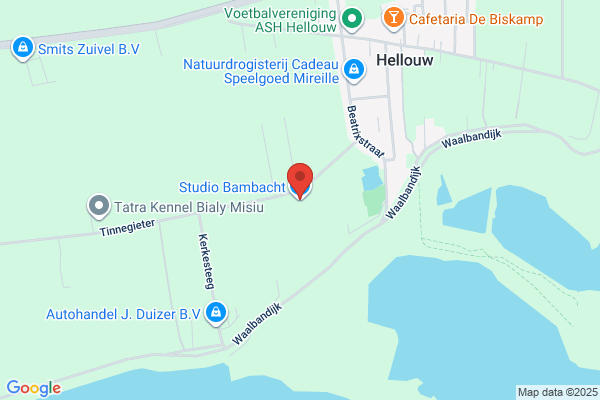 Bambacht, R P A
