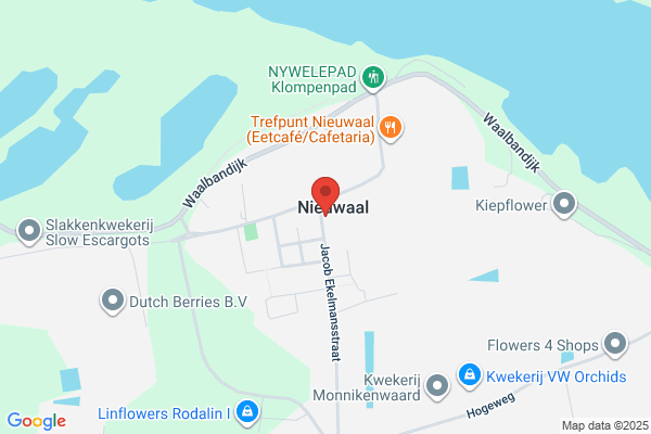 Steenbergen, Van