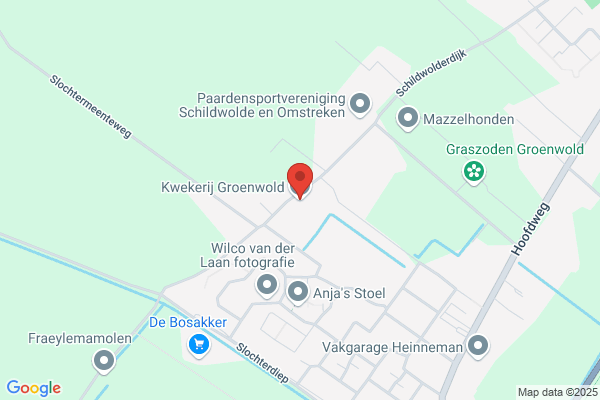 Boomkwekerij Groenwold