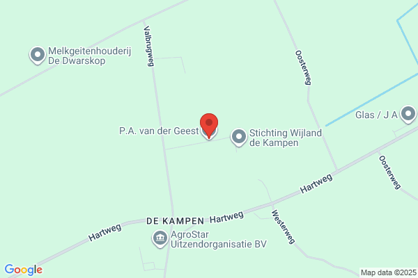 Geest, Fa P S M Van Der