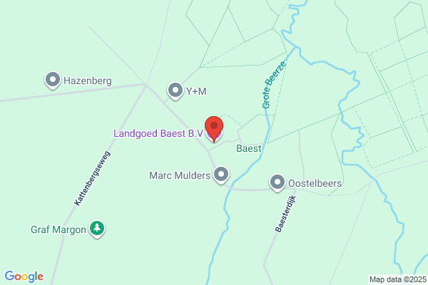 Baast Bv, Van