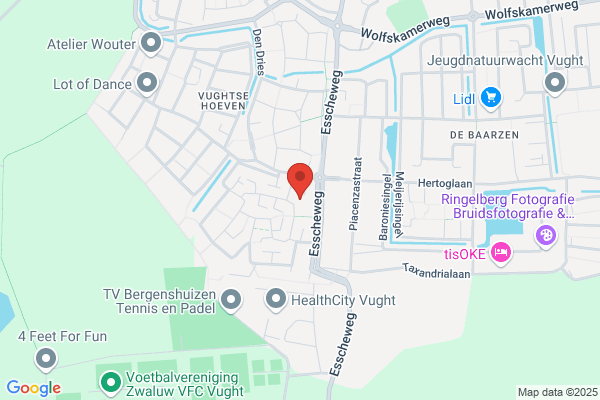 Loosveld Bestratingen, T