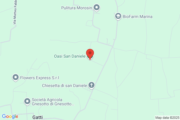 Damiele