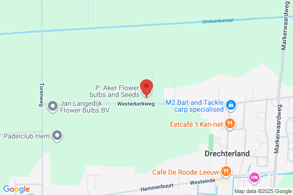Aker BV Bloembollenexport P