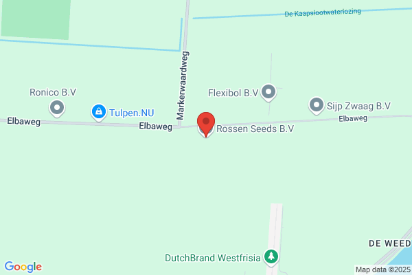 Rossen Seeds Bv