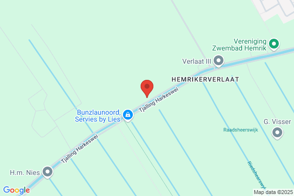 Jong, De