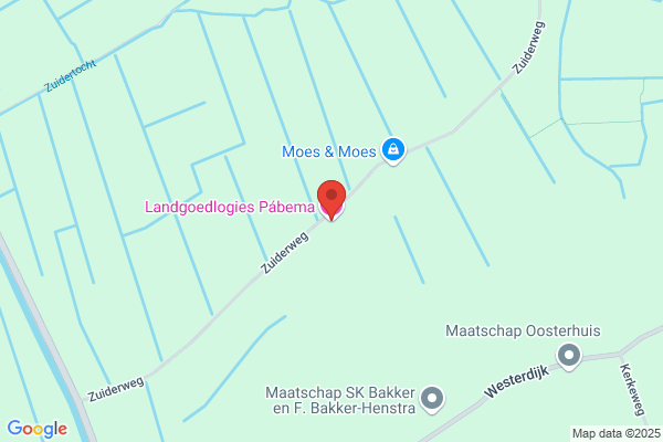Nieuwe Bellevue, De