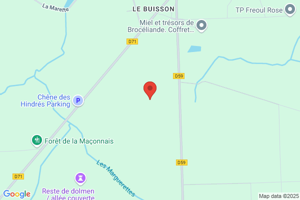 P.P. Du Buisson