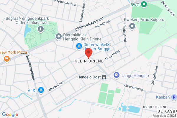 Riki Kapsalon