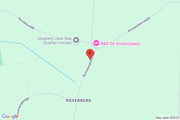 Nijeboer Acupunctuurpraktijk