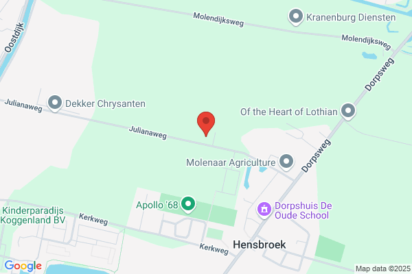 Bloembollenbedrijf Fa. M. Mak En Zonen