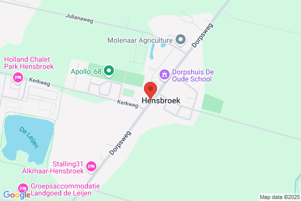 Springend Paard Het