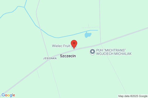 Wielec