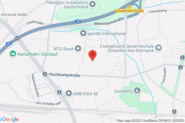 A.P. Schillemans Transport Consultant
