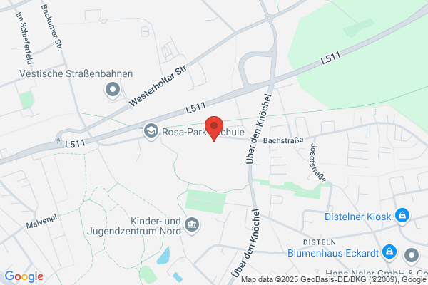 Steinsje, 't