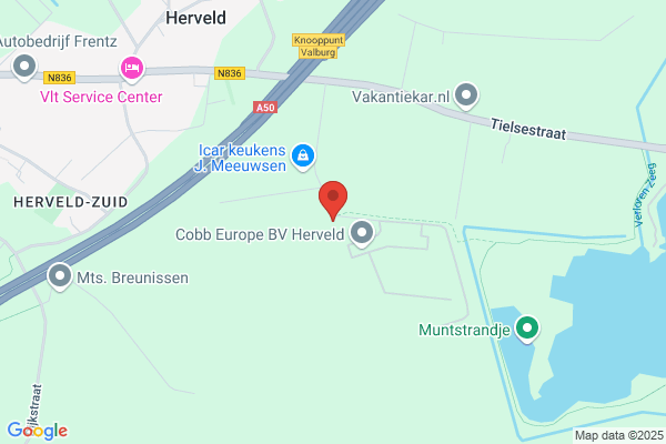 H.J. De Ru Advies