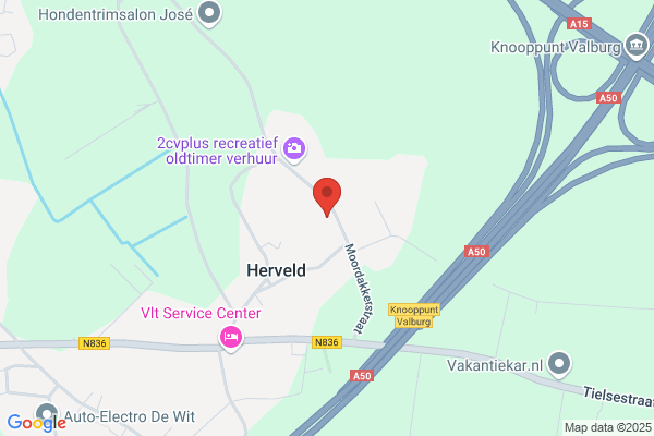 Zwijnen, Arie