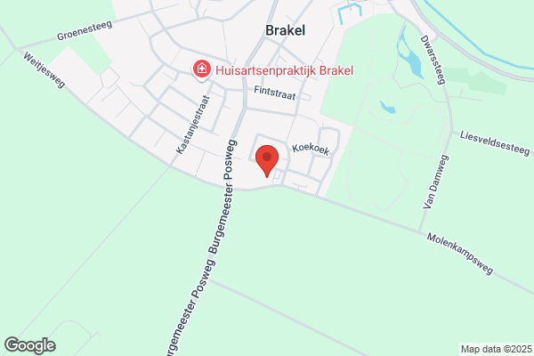 PLUS Duijzer