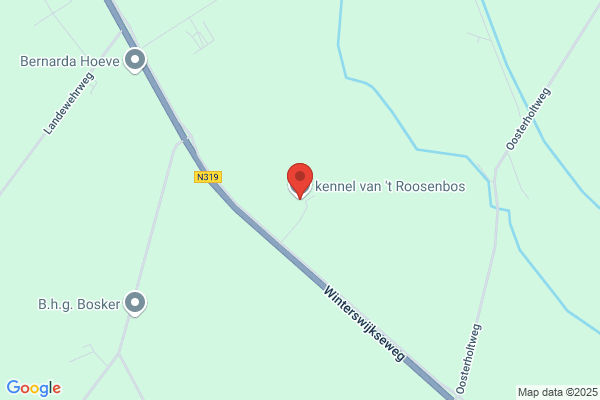 Dierenhotel Trimsalon Op De Roos