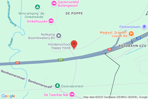 Hondenschool De Laagse Paal