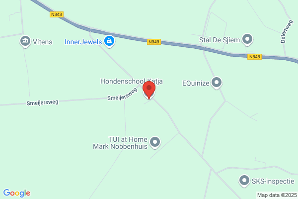 Laagse Paal, Hondenschool De