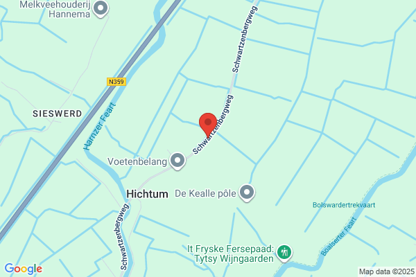 Tribunaal Voor De Vrede, Sticht