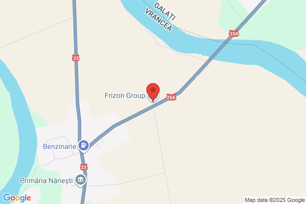 Frizone