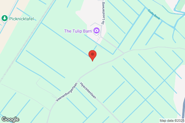 Steenvoorden Bv, C