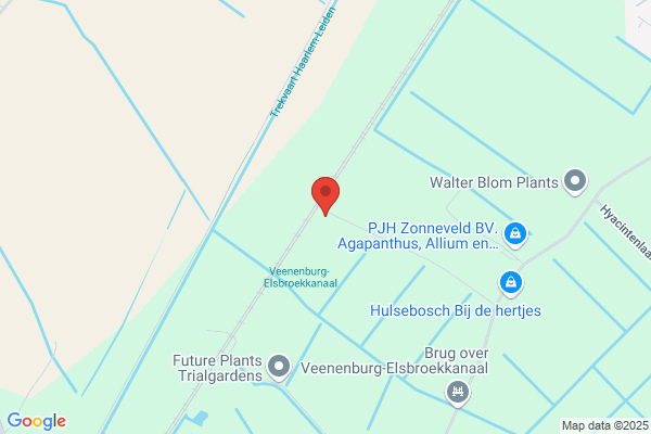Zandvliet