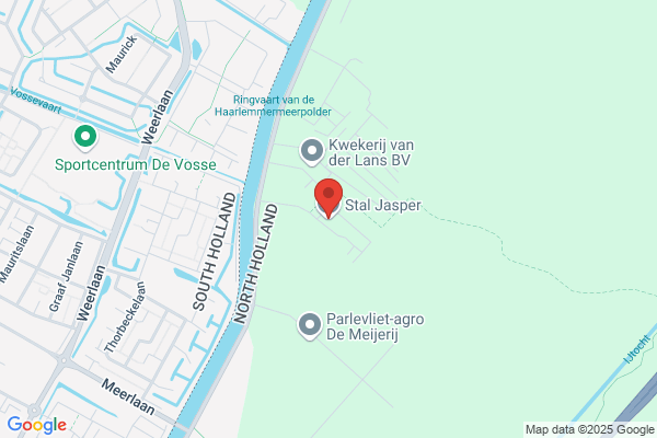 Manege Pensionstal Jasper