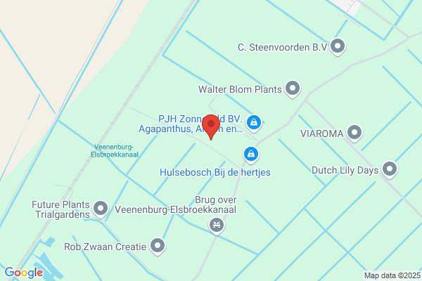 Linnaeuspark Kantoorbeplantingen