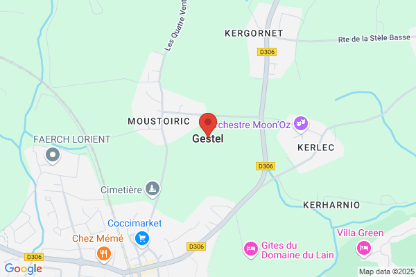 Gestel, Walter Van