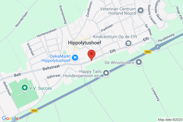Vliet Magnetics Holland (VMH)