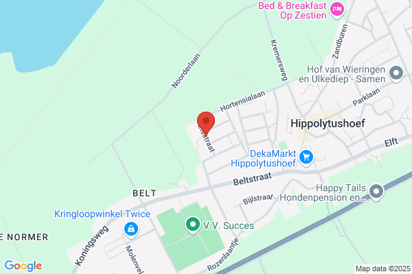 Prikballon, De