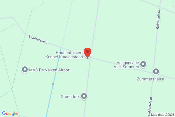 Hondenfokbedrijf Van De Kraayertsehoek