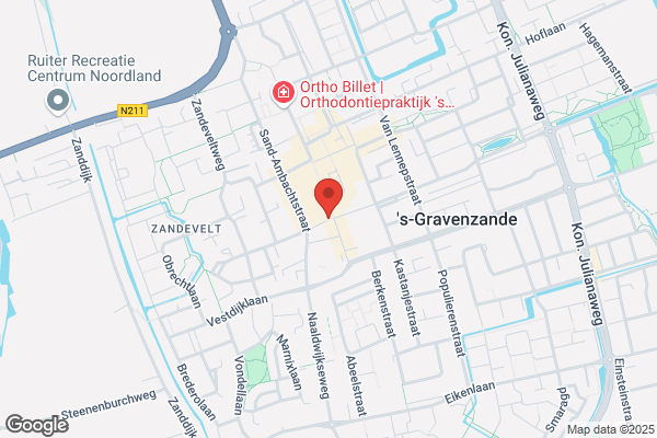 Domino's Pizza S-gravenzande