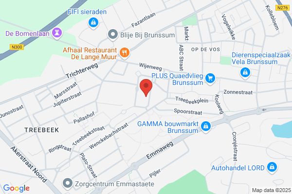 Treebeek