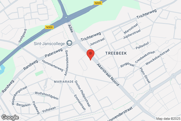 Grieks Restaurant Theo De Griek