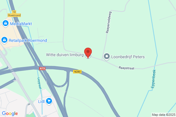 Witte Bruidsduiven Service