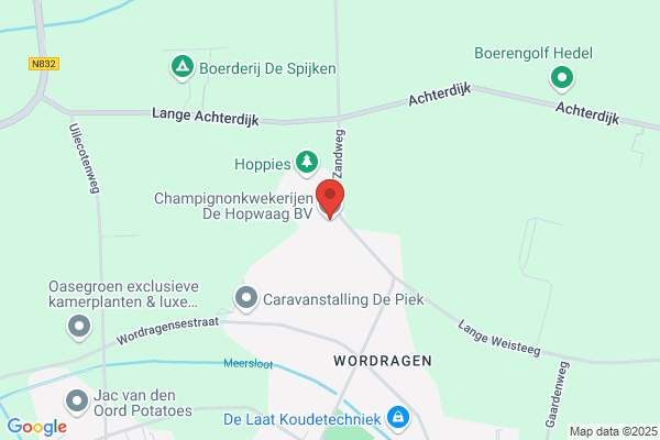 Champignonkwekerij G. Baars Bv